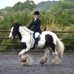 horse rider