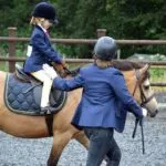 riding school