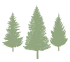 3 trees