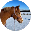 Melany Sykes profile picture